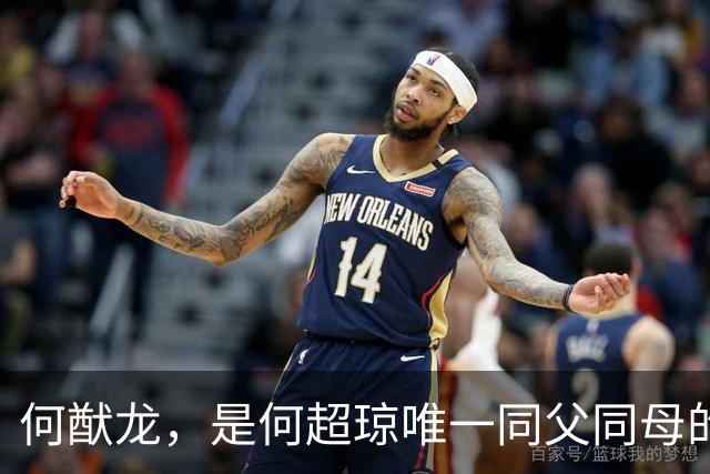 何猷龙，是何超琼唯一同父同母的亲弟弟