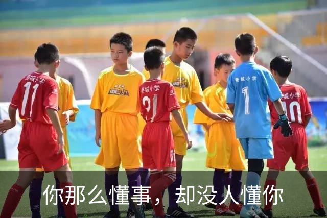 你那么懂事，却没人懂你
