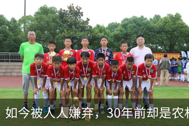 如今被人人嫌弃，30年前却是农村香饽饽，为何如今仍然大量养殖