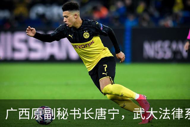 广西原副秘书长唐宁，武大法律系出身，最懂法的人越了线