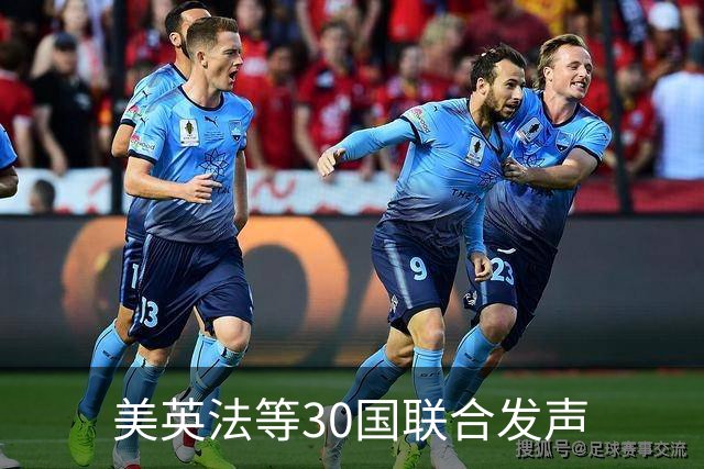 美英法等30国联合发声